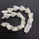 Sea Shell Butterfly Necklace Bracelet Set Glamour Lady Jewelry