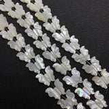 Sea Shell Butterfly Necklace Bracelet Set Glamour Lady Jewelry