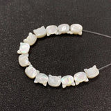 Sea Shell Kitten Heads Mother-of-pearl Beads 9x10mm