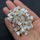 Sea Shell Kitten Heads Mother-of-pearl Beads 9x10mm