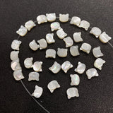 Sea Shell Kitten Heads Mother-of-pearl Beads 9x10mm