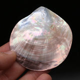 Shell Shape Pendant Sea Water Simulation Loose Beads for Jewelry Making