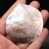 Shell Shape Pendant Sea Water Simulation Loose Beads for Jewelry Making