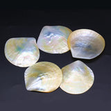 Shell Shape Pendant Sea Water Simulation Loose Beads for Jewelry Making