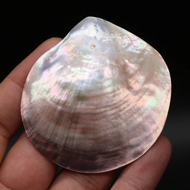 Shell Shape Pendant Sea Water Simulation Loose Beads for Jewelry Making