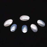 Seawater Shell Oval Ring 20-35mm DIY Jewelry Making