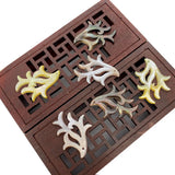 Natural Seawater Shell Seaweed Pendant for Marine Jewelry DIY Charm
