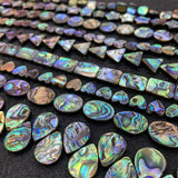 Abalone Shell Beads for DIY Jewelry Making 10-30mm