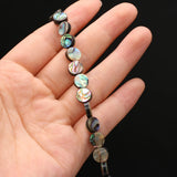 Abalone & Mother Of Pearl Round Beads for Jewelry Making DIY