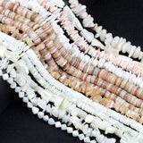 Natural Shell Beads Accessories Diy Jewelry Findings Necklace Bracelet Craft
