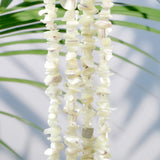 Natural Shell Beads Accessories Diy Jewelry Findings Necklace Bracelet Craft