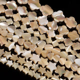 Coffee Star Heart Shape Shell Beads for Jewelry Making