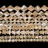 Coffee Star Heart Shape Shell Beads for Jewelry Making