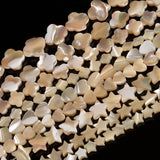 Coffee Star Heart Shape Shell Beads for Jewelry Making
