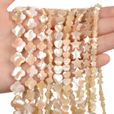 Coffee Star Heart Shape Shell Beads for Jewelry Making