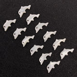 Natural Dolphin Shape Shell Beads 6x14mm