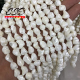 Irregular Trochus Shell Beads for Jewelry Making DIY