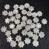 Natural Shell Beads Mother Of Pearl Loose Shell For Jewelry Making