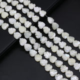 Natural Shell Beads Leaves Shape for DIY Bracelet Necklace