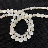 Flat Round Mother-of-pearl Shell Beads 6mm 8mm