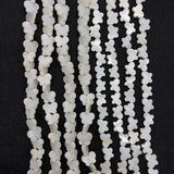 Mother of Pearl Butterfly Beads 8x11mm for DIY Jewelry Making