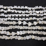 Mother of Pearl Butterfly Beads 8x11mm for DIY Jewelry Making