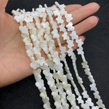 Mother of Pearl Butterfly Beads 8x11mm for DIY Jewelry Making