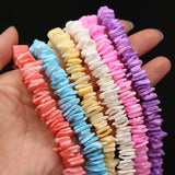 Shell Crushed Stone Beads 8-10mm for Jewelry Making DIY