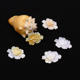 Natural Shell Flower Pendant Jewelry DIY Women's Necklace Earrings Bracelet