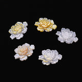 Natural Shell Flower Pendant Jewelry DIY Women's Necklace Earrings Bracelet