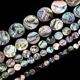 Natural Shell Round Bead for Jewelry Making