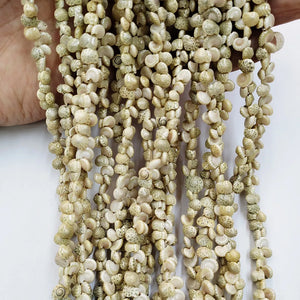 Shell Necklace Beads for Jewelry Making Diy Necklace Bracelet