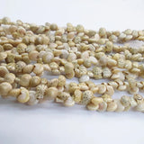 Shell Necklace Beads for Jewelry Making Diy Necklace Bracelet