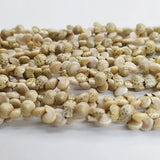 Shell Necklace Beads for Jewelry Making Diy Necklace Bracelet