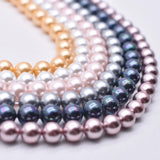 Natural Shell Painted Colors 8mm 50pcs/lot Round Loose Beads