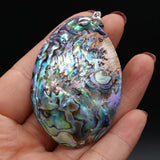 Natural Shell Pendant Oval Mother of Pearl Abalone Shell Charms 40x58mm