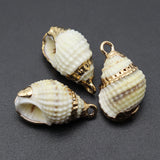 Shell Pendant Snail Conch Charms for Jewelry Making 1-2cm