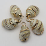 Shell Pendant Snail Conch Charms for Jewelry Making 1-2cm
