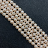 Frosted Natural Shell Round Beads - DIY Jewelry Making Supplies