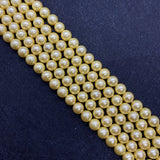 Frosted Natural Shell Round Beads - DIY Jewelry Making Supplies