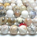 Natural Dendritic Opal Smooth Round Beads Gemstone