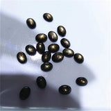 Natural Star Sapphire 4X6mm 5X7mm 6X8mm Loose Gem for Jewelry