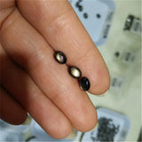 Natural Star Sapphire 4X6mm 5X7mm 6X8mm Loose Gem for Jewelry