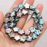 Abalone Shell Beads Star Shape Loose Bead for Jewelry Making