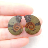 Natural Stone Ammonite Earring Beads 22x18x3mm 4g