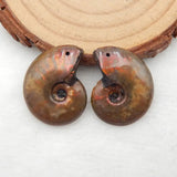 Natural Stone Ammonite Earring Beads 22x18x3mm 4g