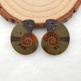 Natural Stone Ammonite Earring Beads 22x18x3mm 4g