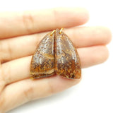 Natural Stone Ammonite Earring Beads 32x15x6mm 7.3 Women Earrings