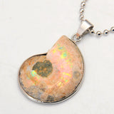 Ammonite Fossil Seashell Pendant Ocean Conch Snail Necklace Men Jewellery