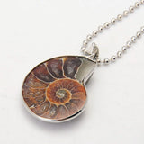 Ammonite Fossil Seashell Pendant Ocean Conch Snail Necklace Men Jewellery